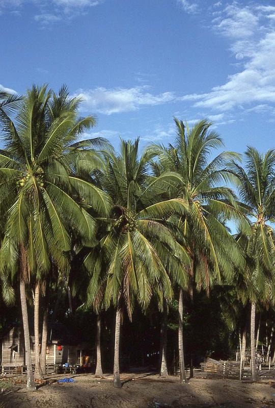 WT 0700 117-02x Malaysia.jpg